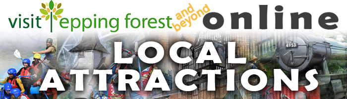 Poster writing for Visit Epping Forest Online Attractions